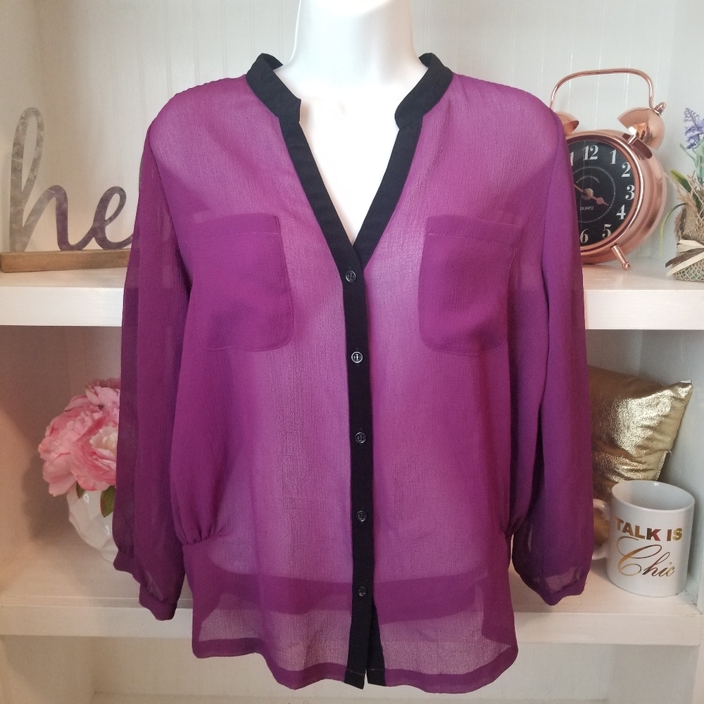DKNY Sheer Blouse